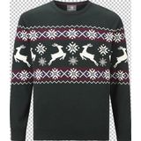 Jan Vanderstorm - TORE - Gebreide Trui - Groen