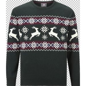 Jan Vanderstorm - TORE - Gebreide Trui - Groen