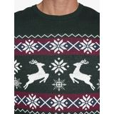 Jan Vanderstorm - TORE - Gebreide Trui - Groen