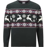 Jan Vanderstorm - TORE - Gebreide Trui - Groen