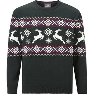 Jan Vanderstorm - TORE - Gebreide Trui - Groen