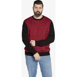 Charles Colby - EARL ALAN - Trui - Rood - Comfort Fit