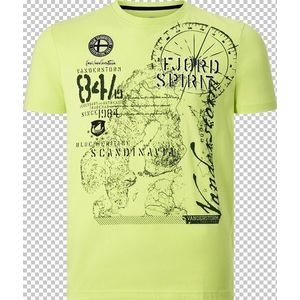 T-shirt DOMINIK lichtgroen