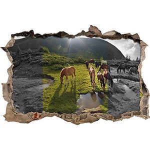 Pixxprint 3D_WD_5256_62x42 eetende paardenfornuis in de bergen muurdoorbraak 3D muurtattoo, vinyl, zwart/wit, 62 x 42 x 0,02 cm