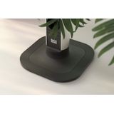 Bachmann - M709.100 CYCLE Pole L - Vloerplaat - Zwart