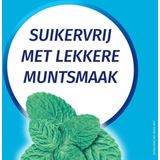 Rennie Kauwgom Calciumcarbonaat 750mg Suikervrij 10 stuks