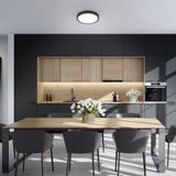 Deckenlampe Ø25 cm - 12W, 1200lm, led, neutralweiß, schwarz