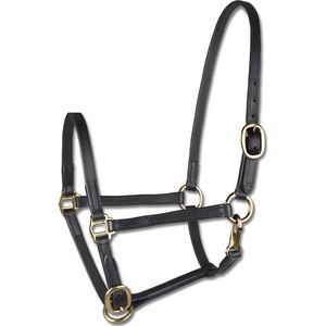 STAR Foal Show Halter, Leather | Cob