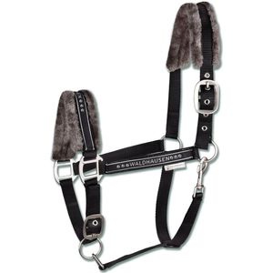 Elegant Halter | Pony