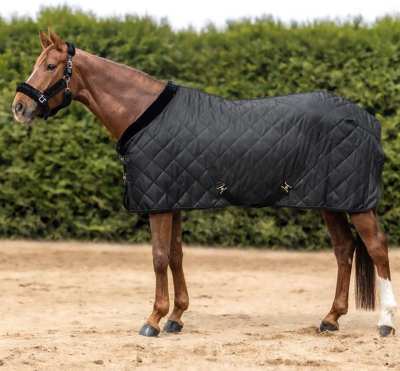 Stalldecke für Pferde Waldhausen Exclusive 50 g