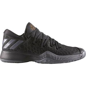 adidas Performance Harden B/E J Basketbal schoenen Kinderen zwart 36 2/3