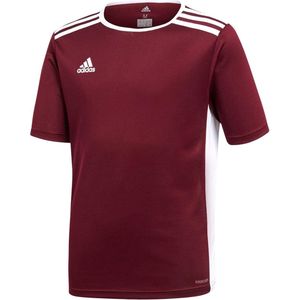 adidas Entrada 18 Sportshirt - Maat 116  - Unisex - donkerrood,wit