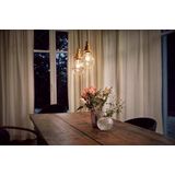 OSRAM - Globe Lamp - Warm Wit - E27 - 5W - 283mm