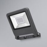 Ledvance LED Breedstraler Endura Zwart 30W 2700lm 100D - 830 Warm Wit | IP65 - Symmetrisch