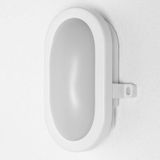 Led Funktions-Leuchte, Leuchte für Außenanwendungen, Kaltweiß, led Bulkhead - Ledvance
