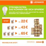 OSRAM Lamps, Voet: E14, Cool Daylight, 6500 K, 10 W, vervaNGSiNGS voor 75 W gloeilamp, frosted, LED STAR STICK 1 pak