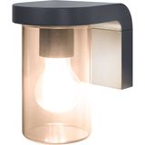 Ledvance Wandlamp Endura Classic Cascade Amber | E27