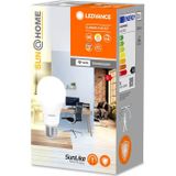 Ledvance Smart+ Wifi E27 Sun@home (HCL) Peer Classic 9W 750lm - 827-865 Afstembaar Wit | Dimbaar - Vervangt 60W