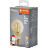 Ledvance - A60 - Smart LED Lamp - Goud - 6W - Dimbaar