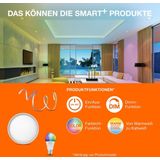 Ledvance - A60 - Smart LED Lamp - Goud - 6W - Dimbaar