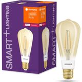 Ledvance - ST64 - Smart LED Lamp - Goud - 6W - Dimbaar