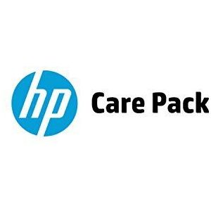 HP 1 jaar PW ChnRmtPrt DsnJt T1500 36in Support