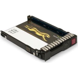 Grafenthal SSD 480GB MU SATA 6GB/S DWPD 3.6 5 JAAR (480 GB, 2.5"), SSD