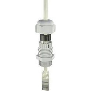 Bopla 12002418 Wartel M20 Polyamide 6 Grijs-wit (RAL 7035) 1 stuk(s)
