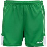 Men's sports shorts puma, m