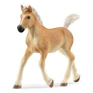 Schleich 13951 Haflinger Veulen