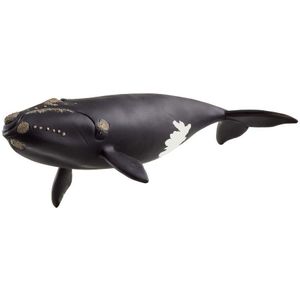 Schleich - Noordkaper - Speelgoeddier - 19,5 cm - Wild Life