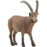 Schleich Ibex