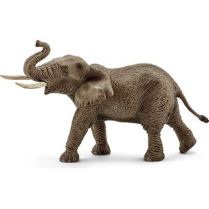 Afrikaanse olifant, mannetje 14762 -  Landbouw & Boerderij