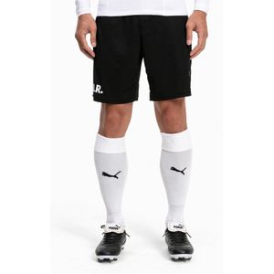 PUMA Team LIGA Socks Heren sportsokken - Puma White-Puma Black - Maat 2