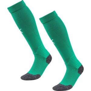 Puma - Teamliga - Voetbalkousen - Groen