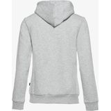 PUMA ESS Logo Hoody FL Trui Dames - Light Gray Heather