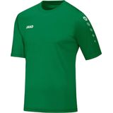 JAKO - Team - Trainingsshirt - Groen - 100% Polyester, KEEP DRY-functie