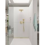 Hoofddouche hansgrohe raindance e 300 1jet met douche-arm gepolijst goud