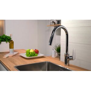 Hansgrohe - Focus M41 - Spültischarmatur mit ausziehbarer Geschirrbrause, schwarz matt 31815670