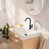 Hansgrohe - Rebris s - Waschtischarmatur mit Ablauf und Schwenkauslauf, schwarz matt 72536670