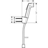 Hansgrohe - Bidethanddouche 1jet EcoSmart - Polished Gold-Optic - Met Douchehouder en Doucheslang 125 cm