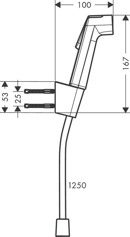 Hansgrohe - Bidethanddouche 1jet EcoSmart - Polished Gold-Optic - Met Douchehouder en Doucheslang 125 cm
