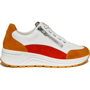 Solidus - Sneakers - Veelkleurig - Vetersluiting - Goede Grip