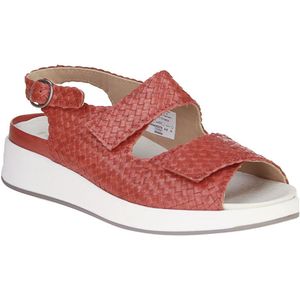 Solidus - Sandalen - Rood - Leer