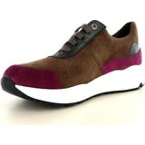 Dames Sneakers Solidus Solidus 66034 bruin bruin