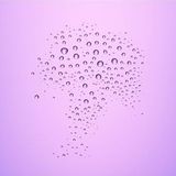 Catrice - Ultra Last² - Make-up Fixingspray - 50 ml