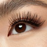 essence - What The Fake! - Nepwimpers - Dramatic Curl