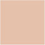 essence - FOUNDATION Stick - Primer - Tint 110 - 10 gr