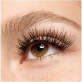 essence - what the fake! - Valse Wimpers - 04 Dramatische Lengte - 1 g