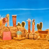 essence YEE HAW! - Universele Penseel - Blush Penseel - 1 st